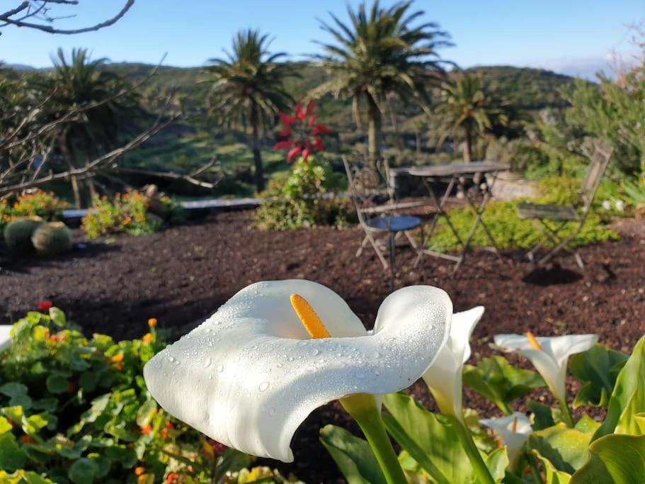 Casa Tara Ruhe Und Entspannung, Natur Pur Acardece Экстерьер фото