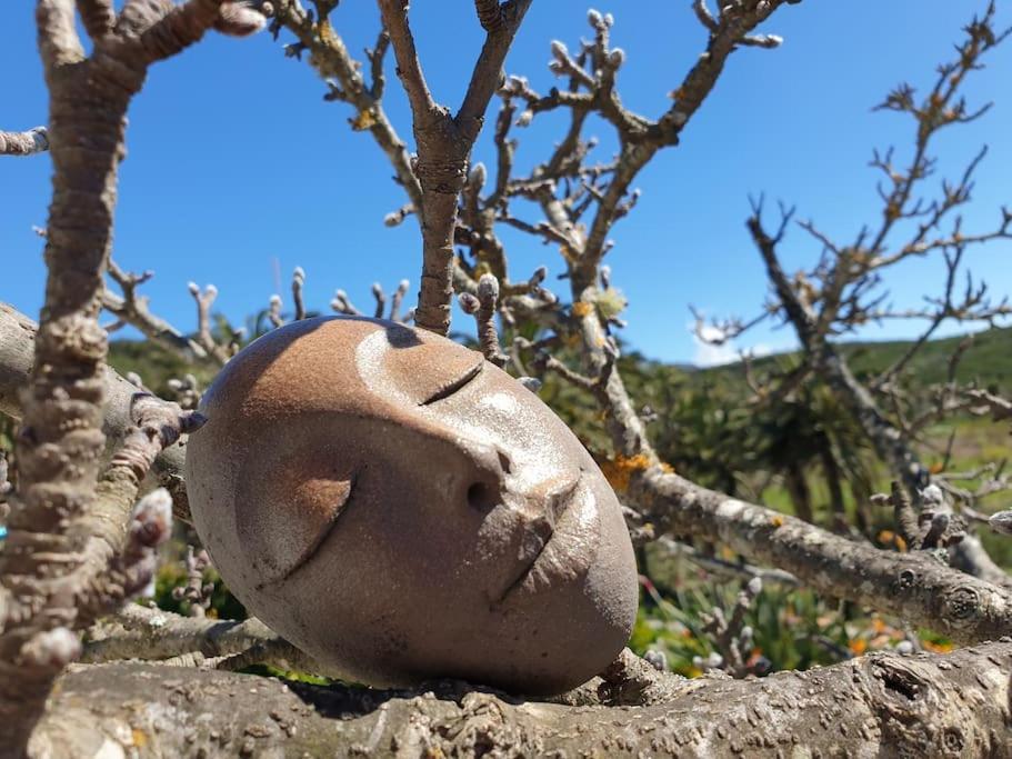 Casa Tara Ruhe Und Entspannung, Natur Pur Acardece Экстерьер фото