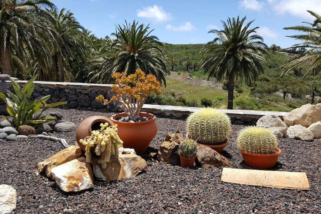 Casa Tara Ruhe Und Entspannung, Natur Pur Acardece Экстерьер фото